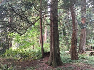 Picture of Point Roberts Parcel Number 405312-118486